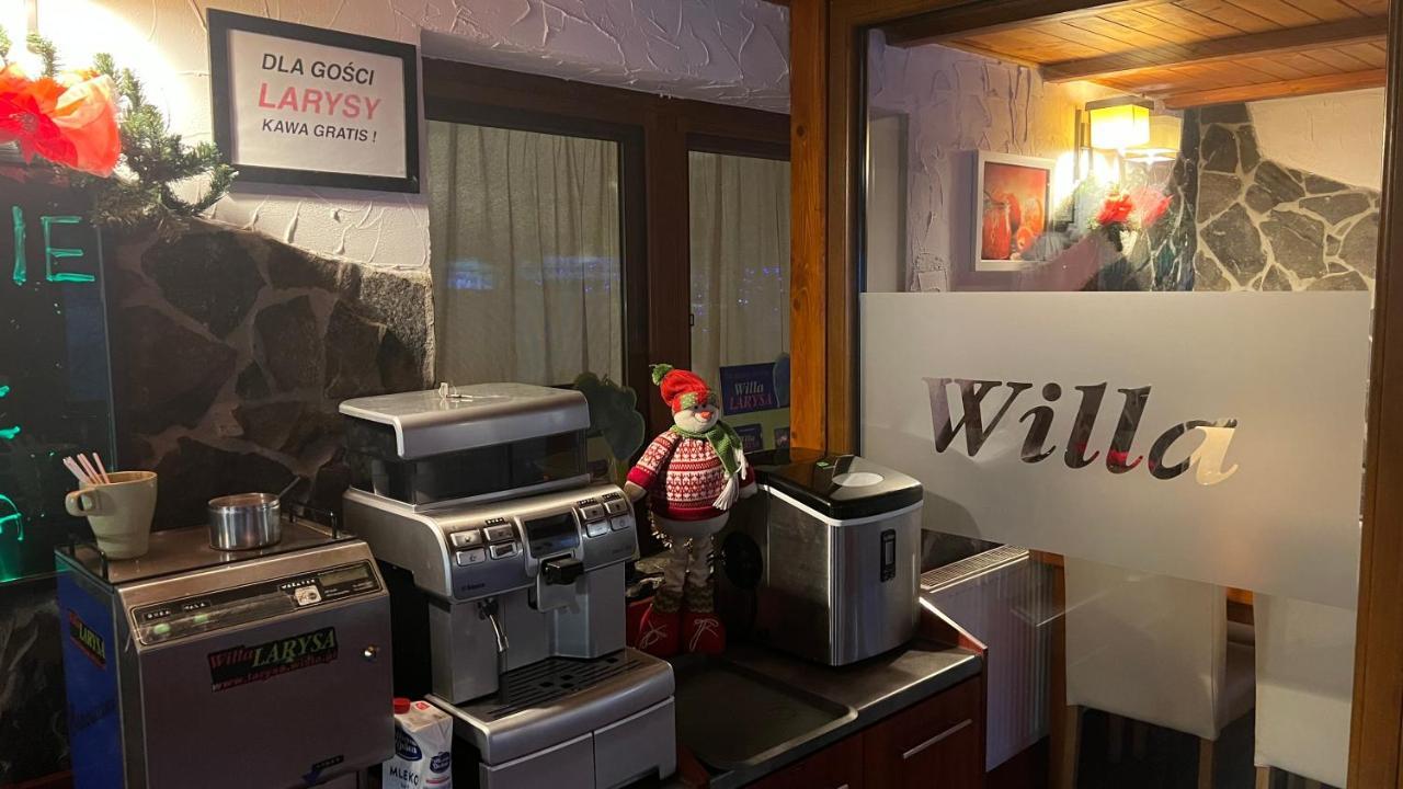 Willa Larysa Agro Wisła Kültér fotó