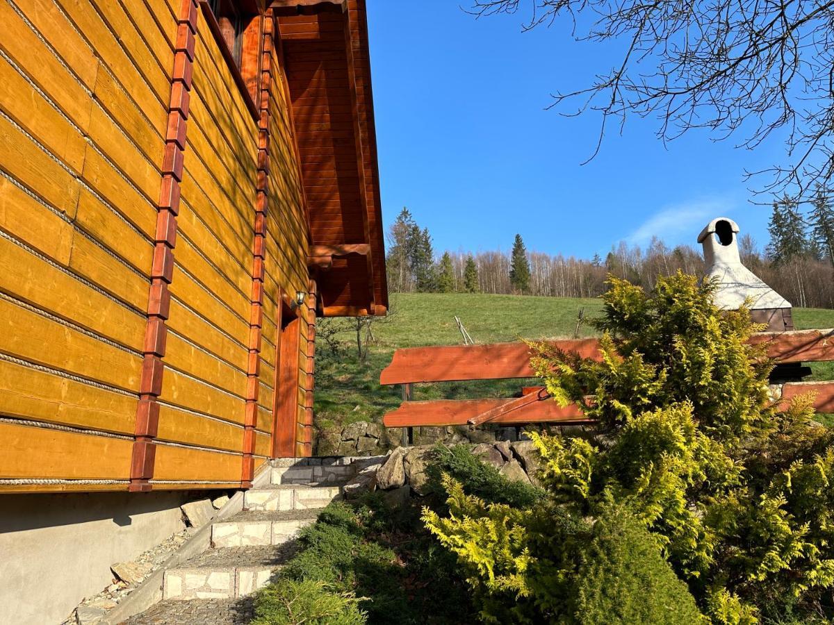 Willa Larysa Agro Wisła Kültér fotó